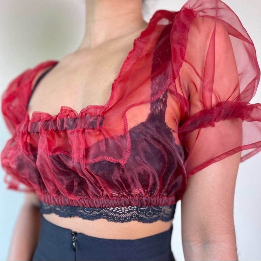 Red Sheer Vintage Organza Crop Top